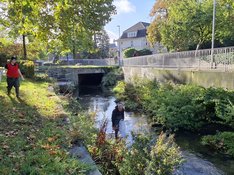 Die Linke Ortsverband Soest