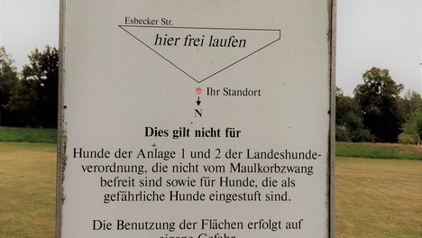 Hundewiese.jpg
